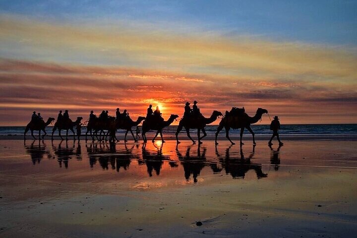 Camel caravan at sunset on Tangier beach