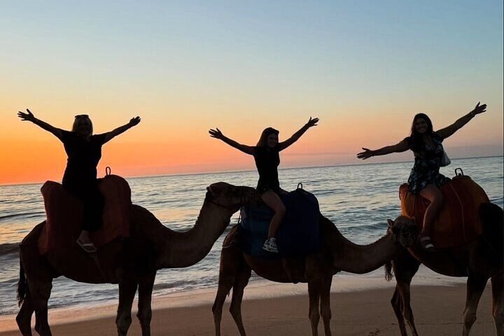 Camel ride at sunset on Tangier beach
